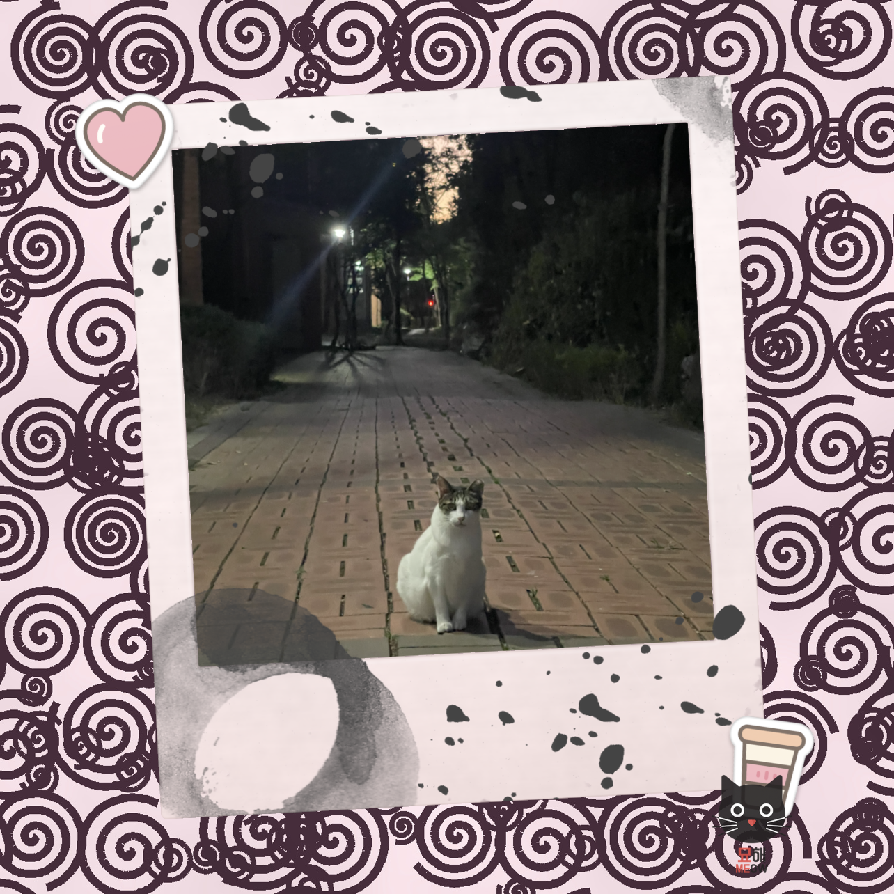 Meow!
